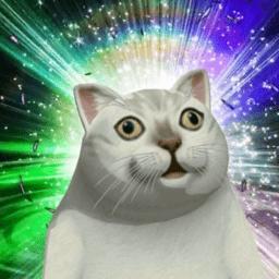 MurCat(mur猫游戏)