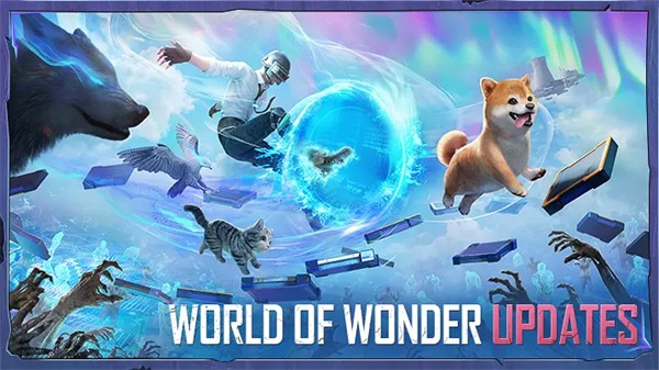 pubg mobile地铁逃生 国际服官网最新版 v3.0.5