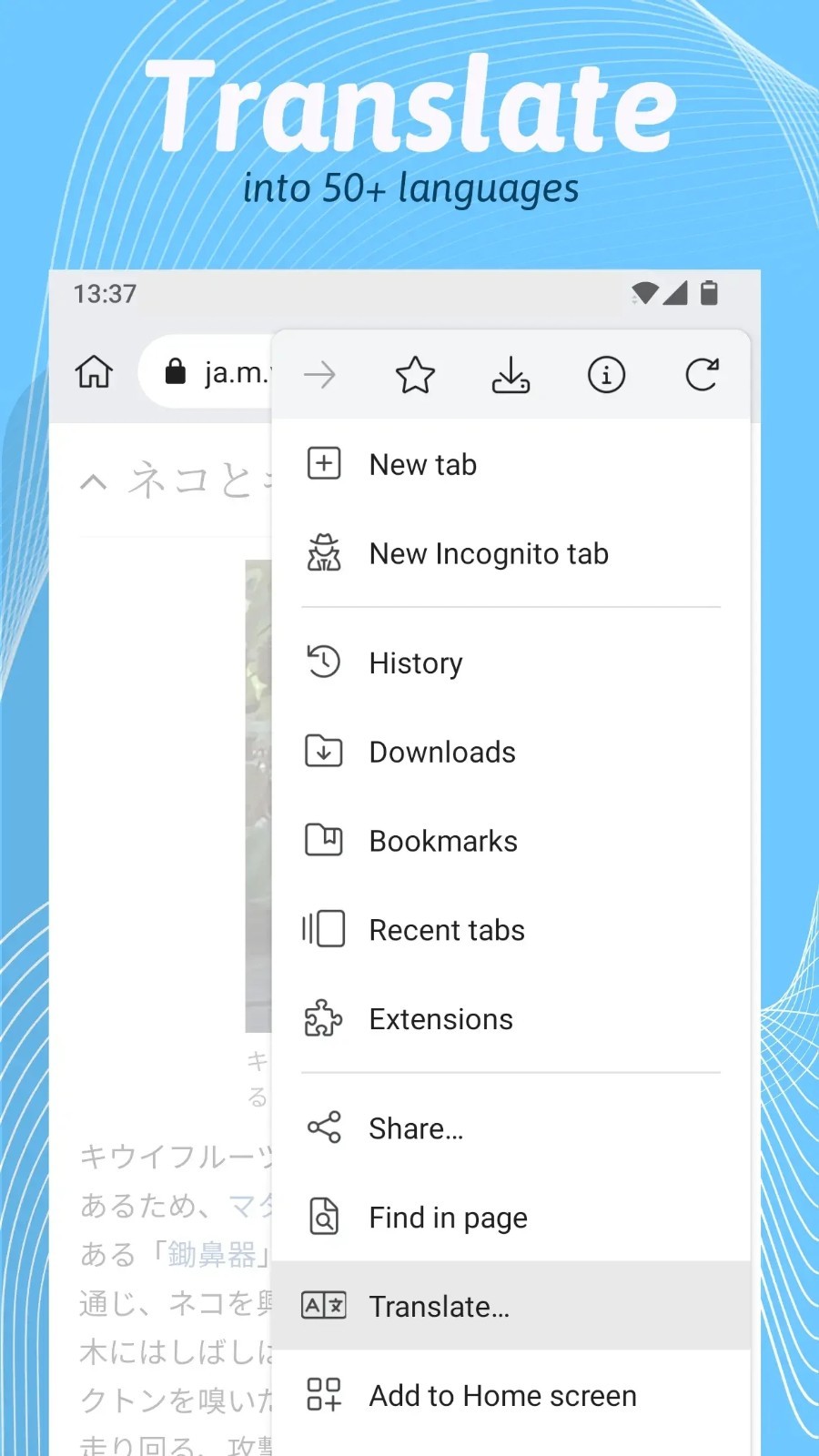 Kiwi浏览器中文版  v116.0.5845.61