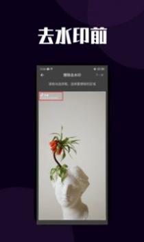 短视频去水印 v3.0.5