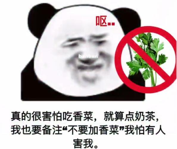 你要实在不知道怎么哄女孩子你就掏钱给我叫个男模吧 v1.0