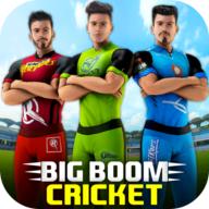 澳大利亚板球锦标赛