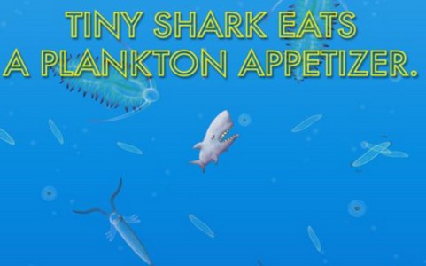 小金鱼进化史2  v1.4.1.0