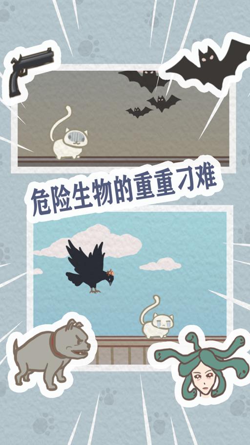 帮帮我喵喵  v1.0.0