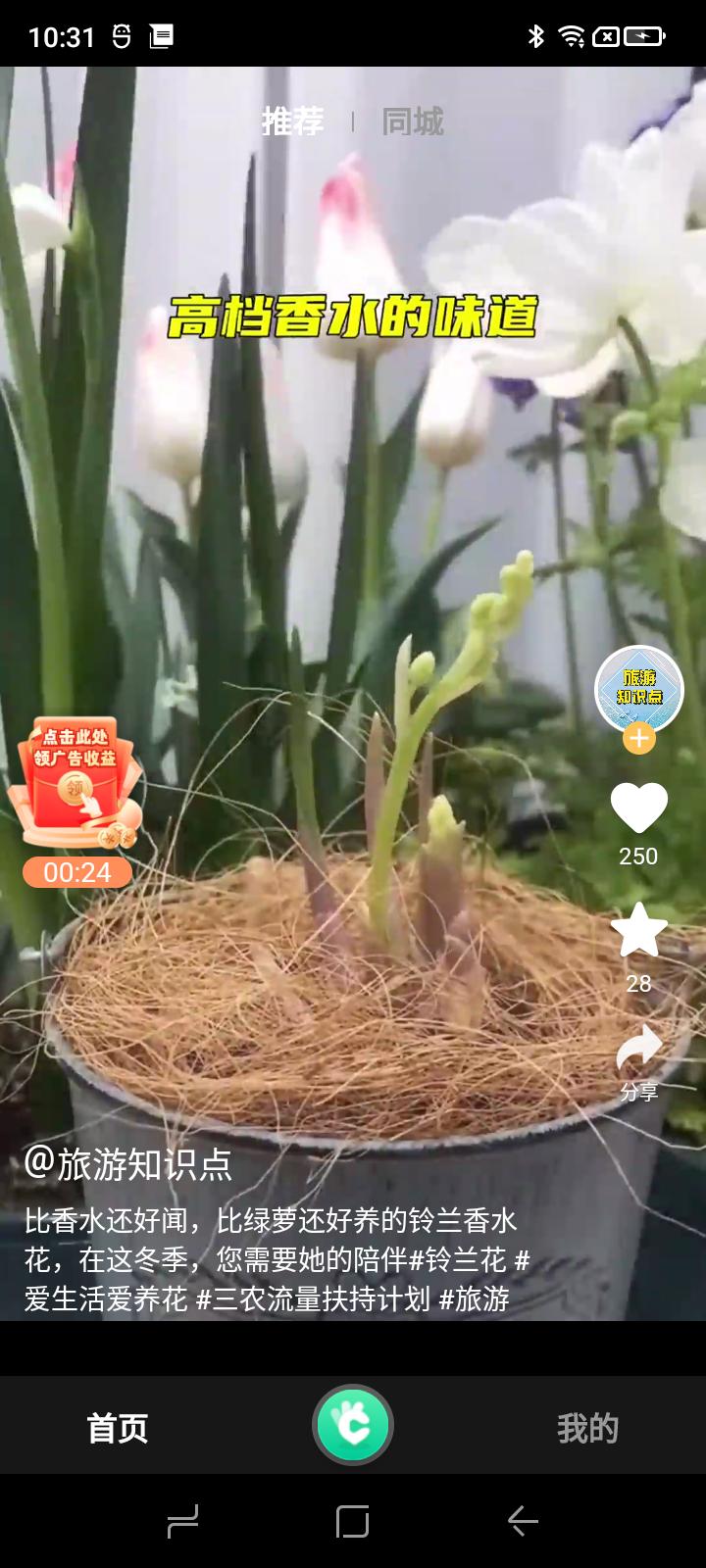 数字驾考软件最新版  v3.4.4