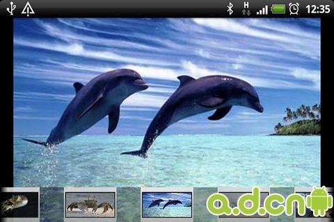 孩子启蒙游戏 完整版 v8.4 v3.1.5