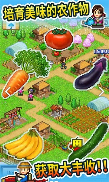 晴空农场物语中文版截图3