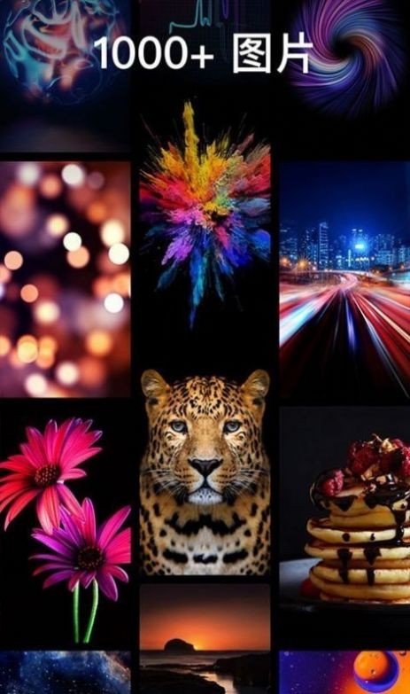 灵猫主题壁纸  v1.0.2