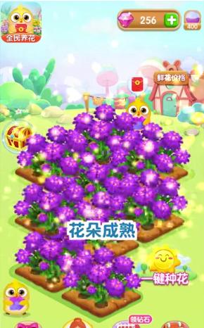 全民养花红包正版  v1.0.1