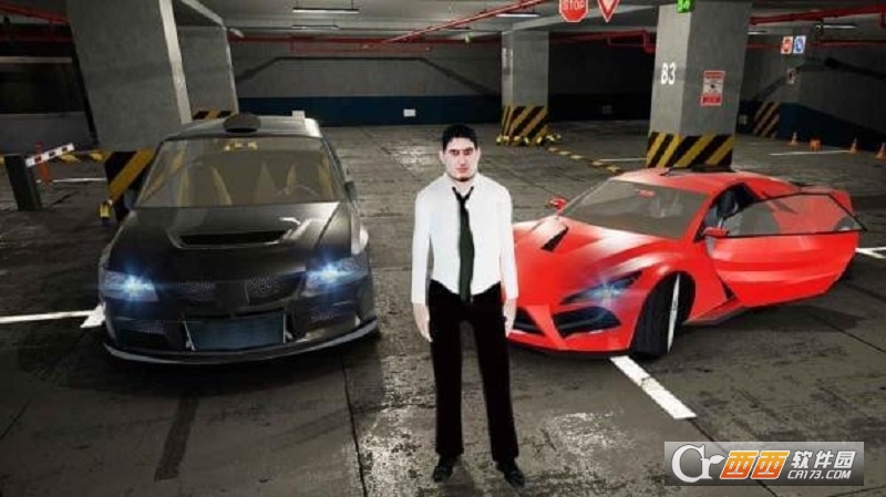 Valet Parking(代客泊车)