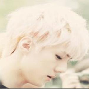 exo吴白久和斑比鹿