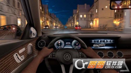 Driving Zone: Germany(真人汽车驾驶)