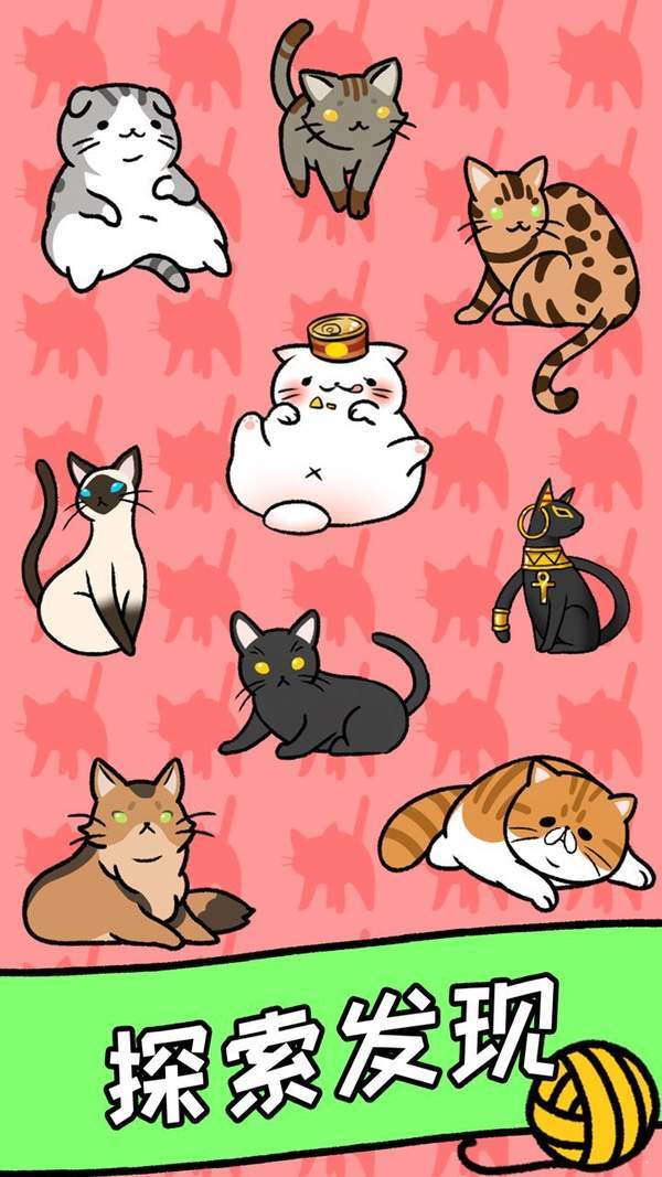 猫咪公寓