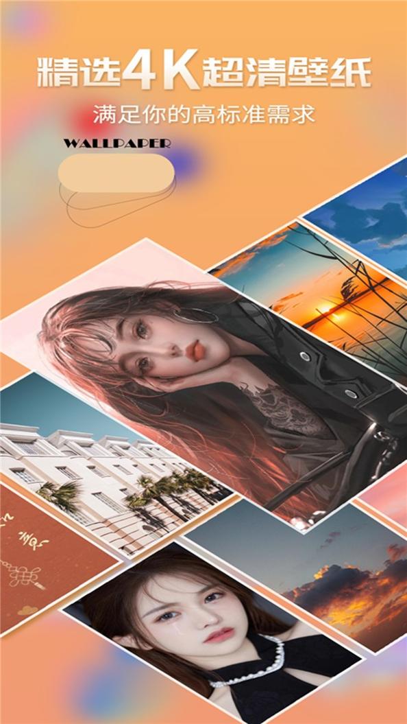 最美桌面壁纸精灵 v1.0