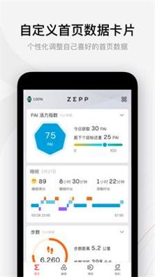 Zepp v1.2