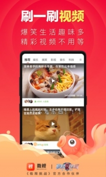 微鲤 v2.0.5