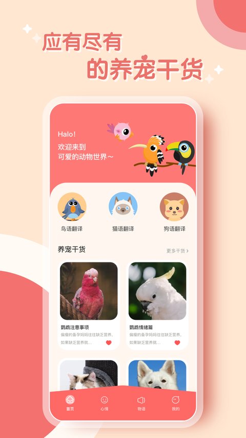 鹦鹉翻译器 v2.0.2