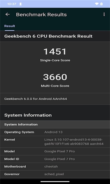 Geekbench 6  v6.0.0