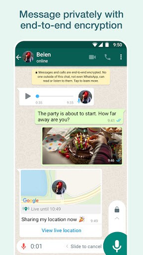 WAB(WhatsAppBusiness)