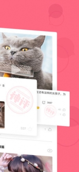皮皮虾ios版 v2.0.5