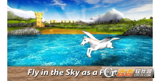 飞马模拟器 飞马模拟器