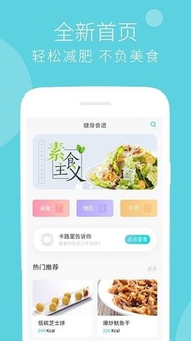 蔓雯减肥食谱  v6.9