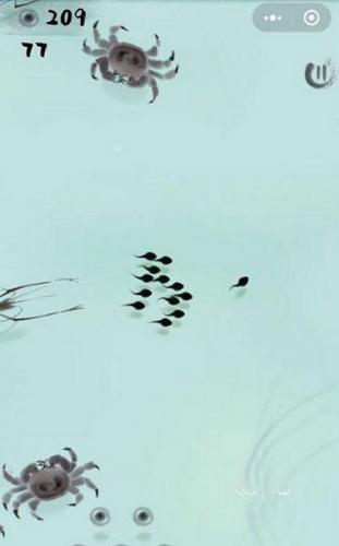 蝌蚪大作战  v1.0