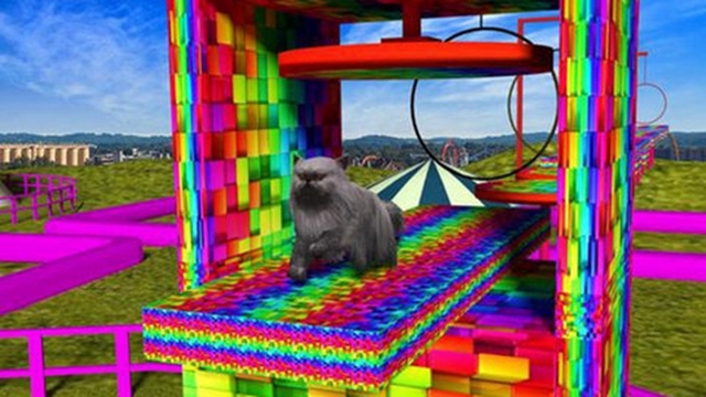 可爱的小猫3d