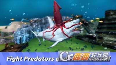 鱿鱼模拟器 v1.0 安卓版