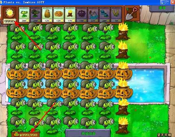 植物大战僵尸BT版(PVZ_BT)