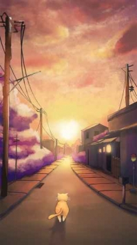 流浪的橘猫侠 v3.2.5