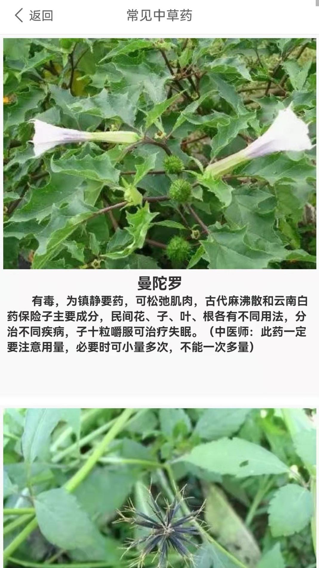 养生健康减肥 v1.0