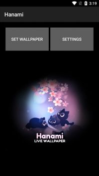 hanami v3.0.5