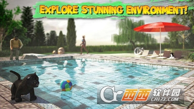 模拟猫咪Cat Simulator 模拟猫咪Cat Simulator