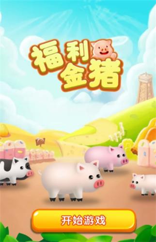 福利金猪