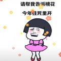 请帮我告诉桃花今年往死里开表情包图片