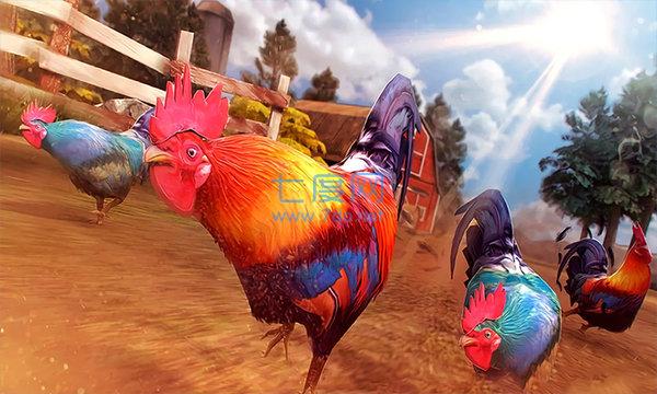 斗鸡模拟器 1.0