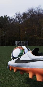 疯狂的自由踢球者 v3.0.5