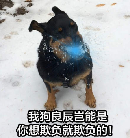 口吐芬芳表情包 v1.0