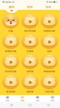 动物翻译器免费 v3.1.5