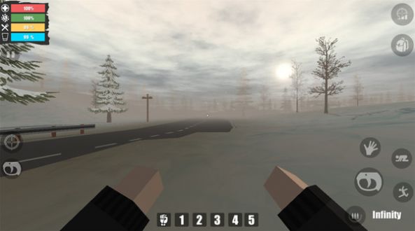 自由队幸存者变异者 v0.161