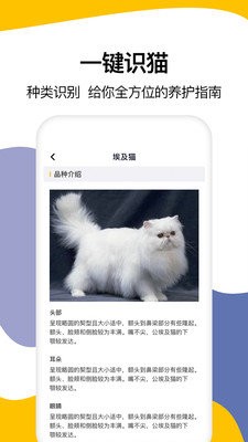 猫语翻译大全 2020-09-29 14:06