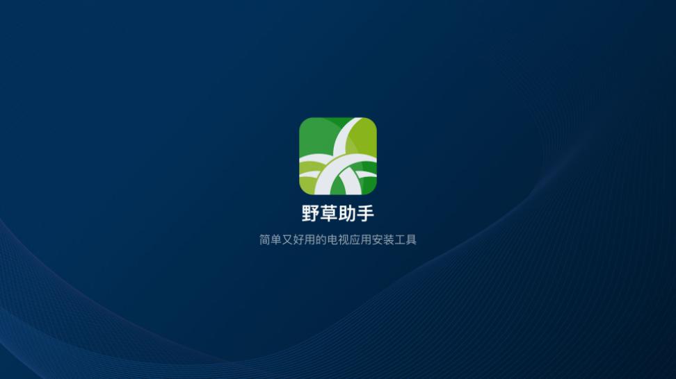 野草助手tv版软件截图1