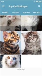 Pop猫壁纸  v1.1