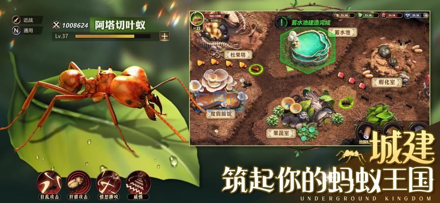 小小蚁国破解版