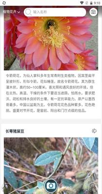 行色识花 v2.1.18