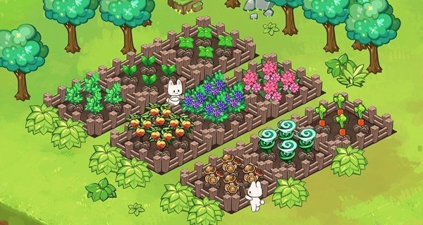 动物营地 版本:v1.2.2