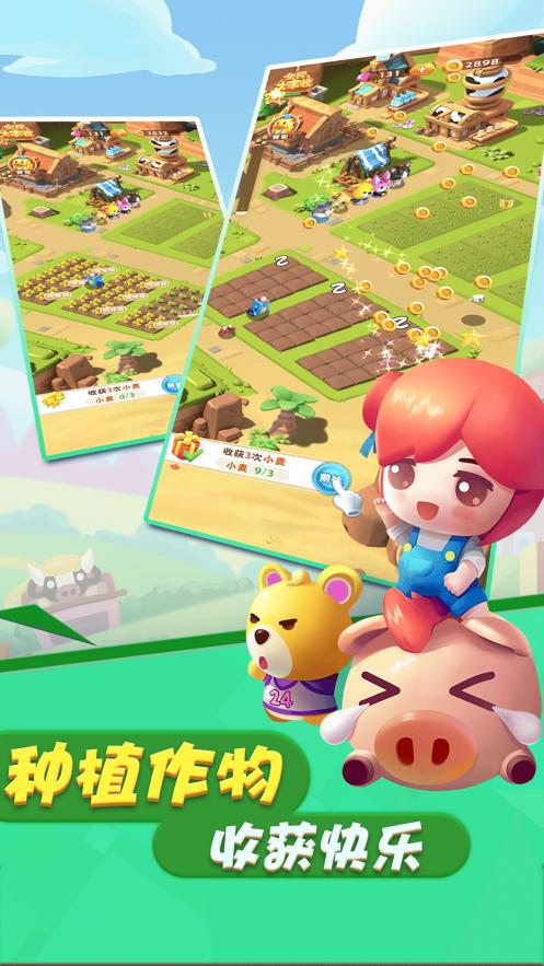 全民大丰收红包版下载安装2021年正版  v4.2.4