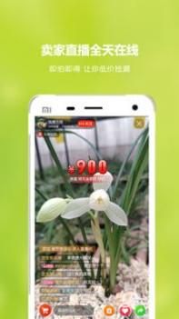 兰花交易网 v3.0.5