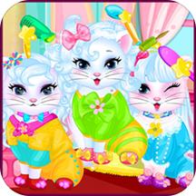 小公主魔法猫咪